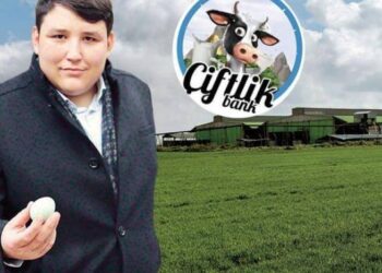 Çiftlik Bank davasında yeni gelişme: Mahkemeden Mehmet Aydın kararı