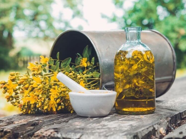 Sarı kantaron yağının az bilinen 9 faydası…