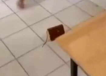 Kur’an-ı Kerim’e tekme attığı gerekçesiyle 3 öğrenci örgün öğretimden atıldı