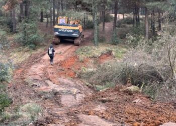 TKP’den Aydos açıklaması: ‘Talana ve yağmaya geçit vermeyeceğiz’