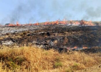 Bir yangın haberi de Çanakkale’den geldi