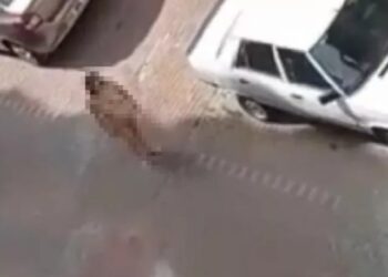Bu defa adres İzmit: Genç kadın sokak ortasında çırılçıplak dolaştı