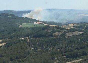Çanakkale’deki yangında 3 dönümlük alan zarar gördü