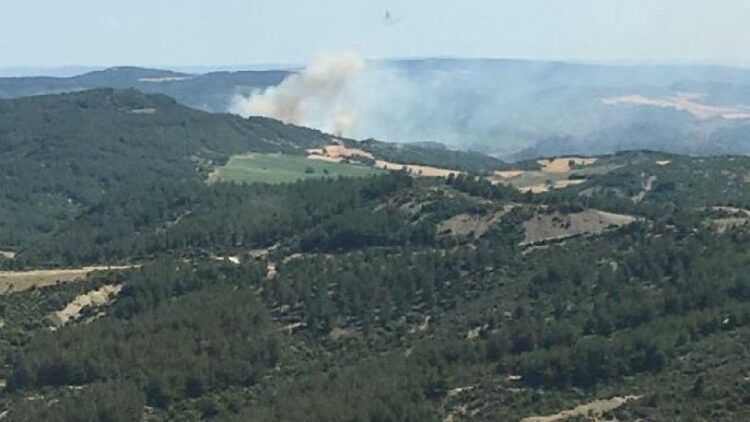 Çanakkale’deki yangında 3 dönümlük alan zarar gördü