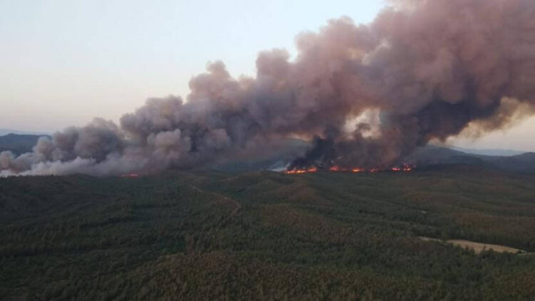 Marmaris’te ormanı yakan kişiden itiraf