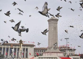 Türk uzman: Küresel Güvenlik İnisiyatifi dünyaya barış getirmek için ihtiyaç duyulan küresel düşünce yapısını sunuyor