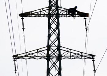 Beyaz leylekler, Çin’in kuzeydoğusundaki elektrik direklerine yuva yaptı