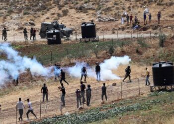 Çin, Filistin-İsrail meselesinde acil ve kararlı adımlar atılması çağrısı yaptı