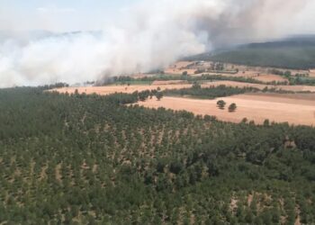 Çanakkale’de tarlada başlayan yangın ormana sıçradı