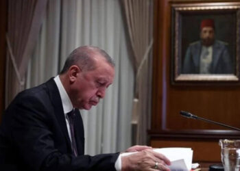 Yağma günlüğü: Erdoğan imzasıyla satış kararları devam ediyor