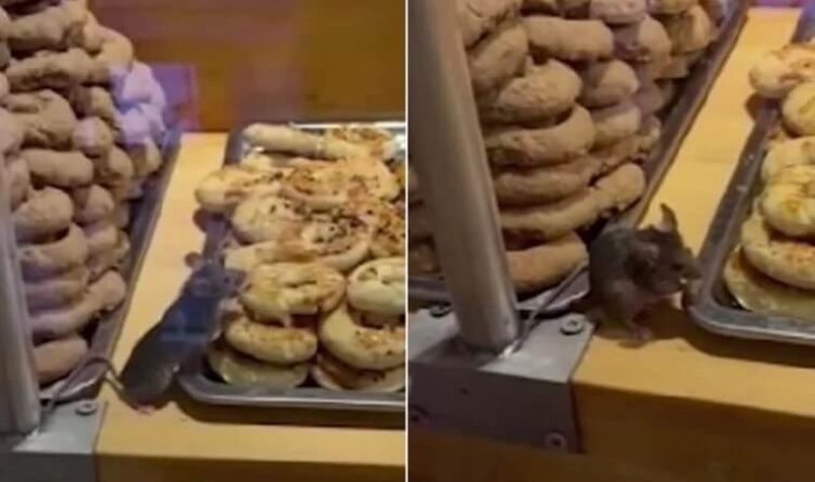 Fare kurabiyelerin üstünde gezdi