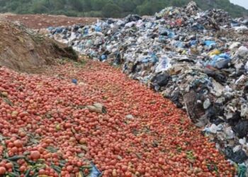 Gündem olmuştu: Çöpe dökülen sebzelerle ilgili açıklama