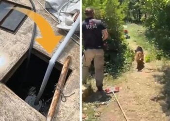 İstanbul’da kan donduran cinayet: Önce yemek yediler sonra gömdüler