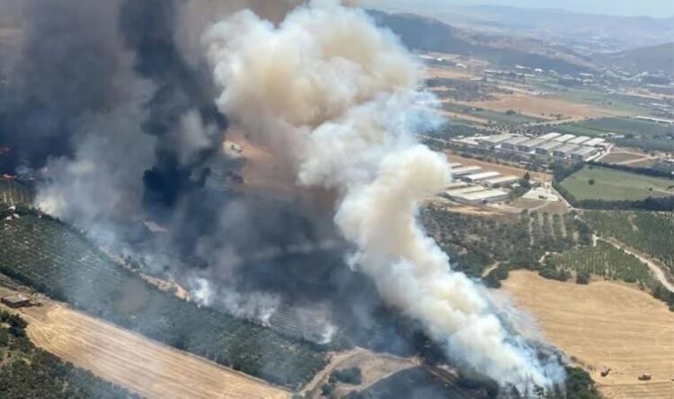 İzmir’de orman yangını