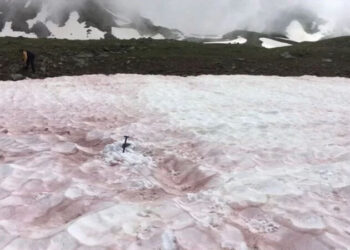 Şoke eden görüntü: Karın rengi kırmızıya döndü