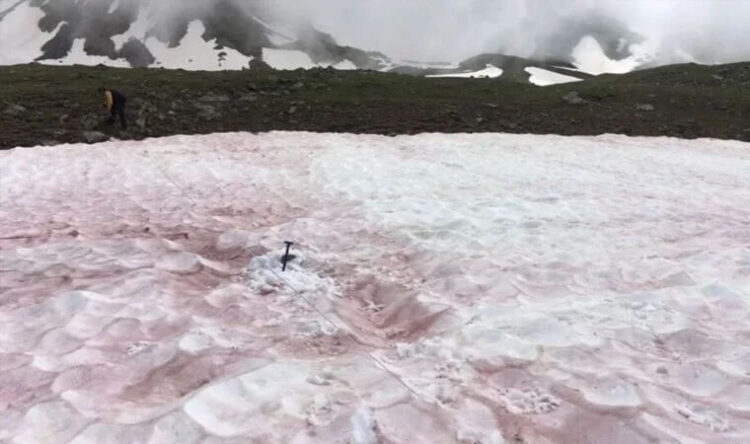 Şoke eden görüntü: Karın rengi kırmızıya döndü