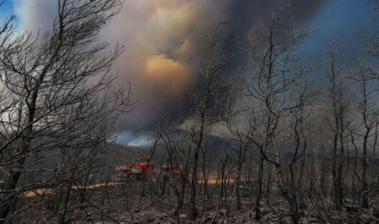 İçişleri Bakanlığı’ndan valiliklere 14 maddeli genelge