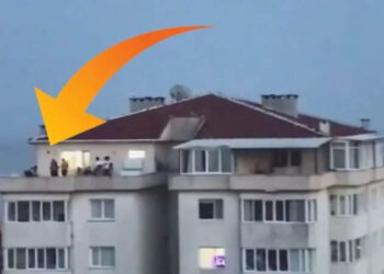 İstanbul’da suikast şebekesine operasyon: Beylikdüzü’nde ev tutmuşlar