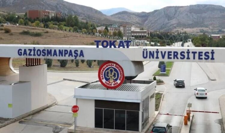 Cinsiyetçilik tartışması: Psikolog ilanında ‘kadın olmak’ koşulu