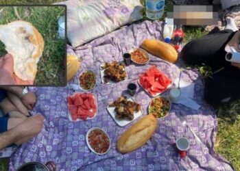 Piknikte mide bulandıran olay!