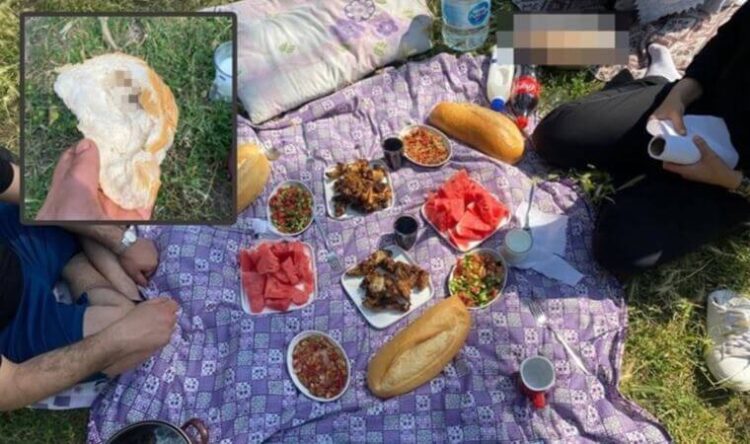 Piknikte mide bulandıran olay!