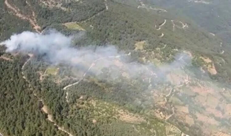 Marmaris’ten sonra İzmir’den de yangın haberi geldi!