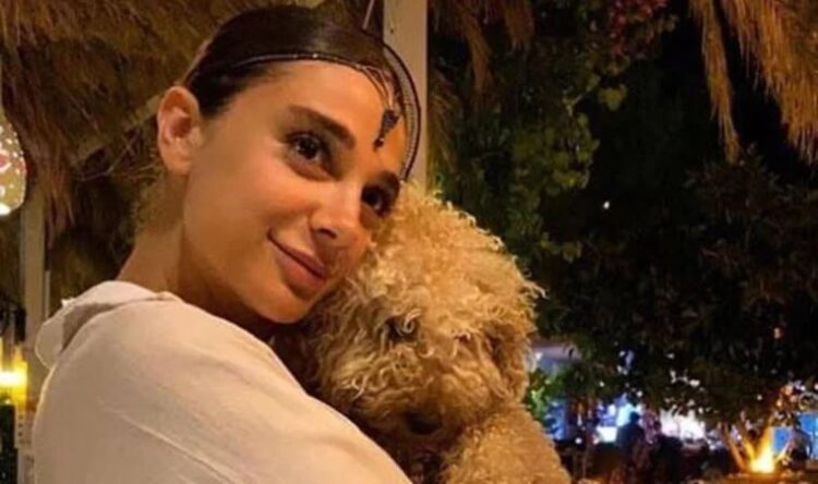 Pınar Gültekin davasında yeni gelişme