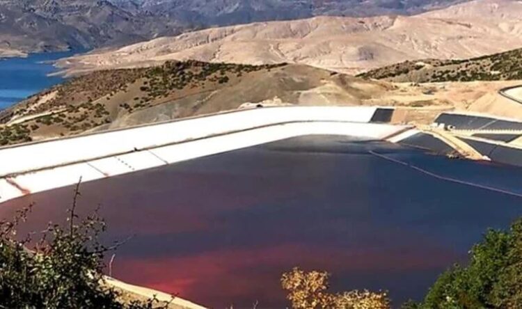 Facia tüm bölgeyi etkiliyor: ‘Bu Türkiye’nin Çernobili’dir’