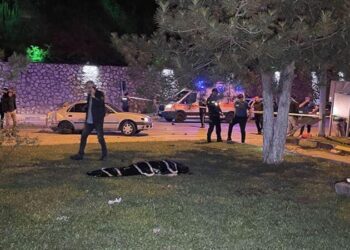 Feci kaza: 2 ölü, 2 yaralı