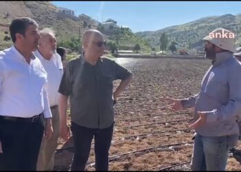 Üretici isyan etti: Çiftçi, Amerikan şirketlere peşkeş çekiliyor