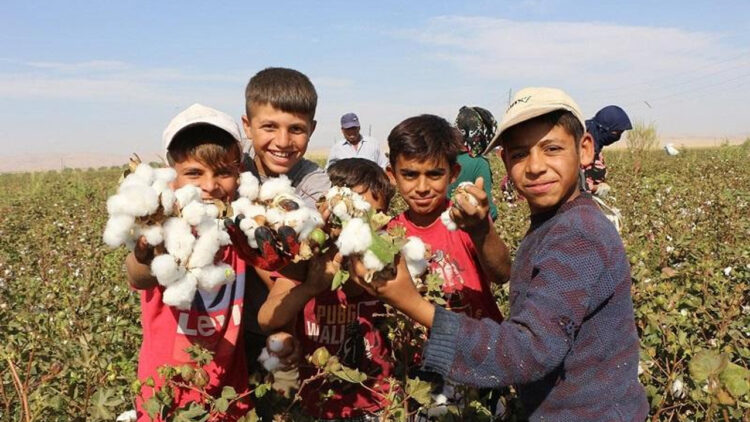 571 çocuk iş kazasında can verdi