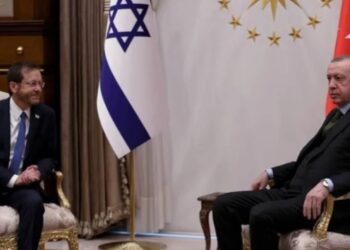 Erdoğan, İsrail Cumhurbaşkanı Herzog ile görüştü