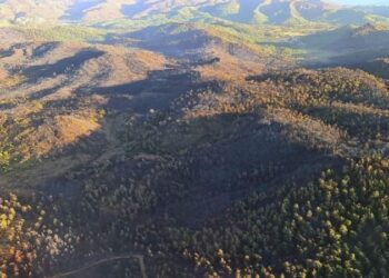 Marmaris Belediye Başkanı Oktay: Yangın nihayet söndürüldü