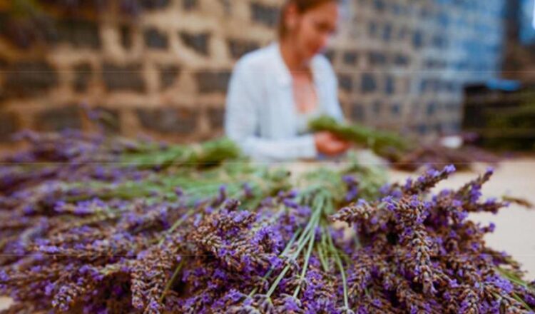 Çin, endüstriyel enerji verimliliğini artırmaya yönelik eylem planı açıkladı