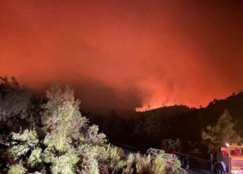 Marmaris yangınının bilançosu belli oldu