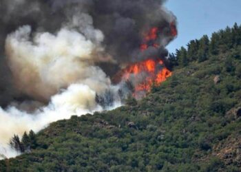 Marmaris’te yangın devam ediyor: Gece görüşlü helikopterler 4 Temmuz’da gelecek