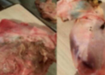 Tavuktan kurt çıktı, Beypiliç’ten açıklama geldi