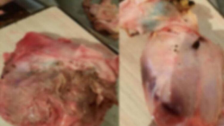 Tavuktan kurt çıktı, Beypiliç’ten açıklama geldi