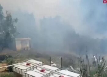İstanbul Beykoz’da orman yangını çıktı