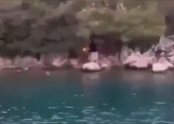 Ormanı ateşe vermeye çalışan kişi kameralara yakalandı
