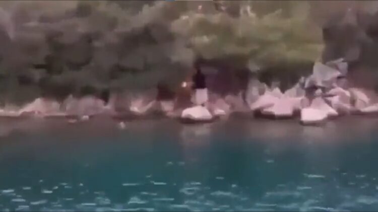 Ormanı ateşe vermeye çalışan kişi kameralara yakalandı