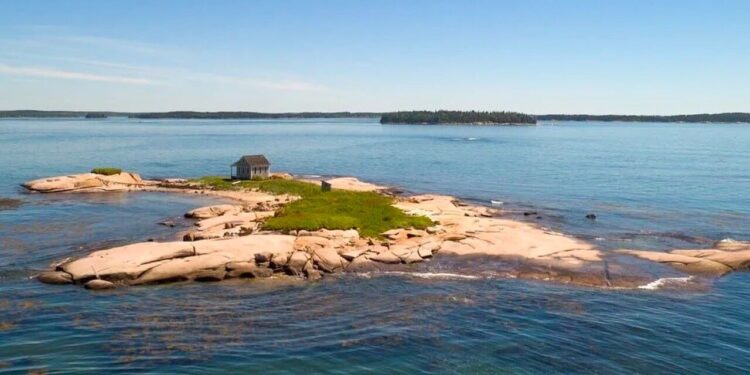 Ev fiyatına ABD’de ada… İşte satın almanın şartları