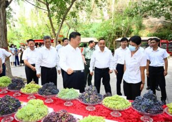 Üzüm Vadisi’nin gelişen “tatlı” sektörü