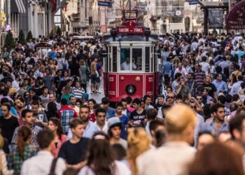 Türkiye’de Milliyetçilik Algısı anketi