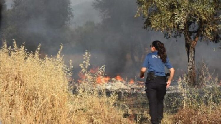 Palet atölyesinde çıkan yangın zeytinlik alana sıçradı