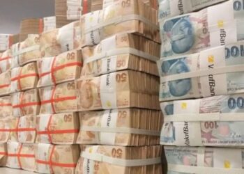 ‘İhtiyat akçesi’ AYM’den geçti: Başkan Arslan ve 4 üyeden şerh