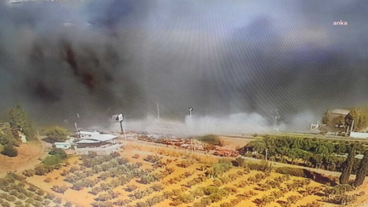 Gaziemir Sarnıç’ta orman yangını