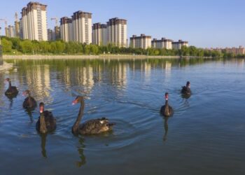 Çin daha düşük karbonlu yerleşimler oluşturacak