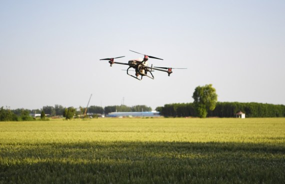 Çin’in Henan eyaletinde yaz tahıl üretimi rekor kırdı