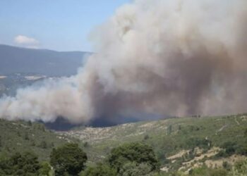 CHP’li Ahmet Akın Balıkesir’deki yangının nedenini açıkladı